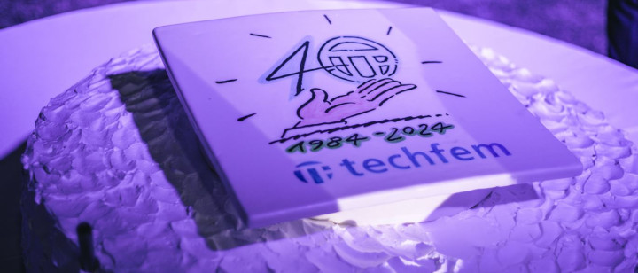 Celebrating 40 years of Techfem